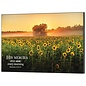 Wall Plaque - His Mercies are New, Sunflowers