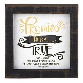 Framed Tabletop Art - Promise to be True (Jeremiah 29:11)