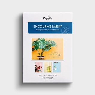Boxed Cards - Encouragement, House Plants