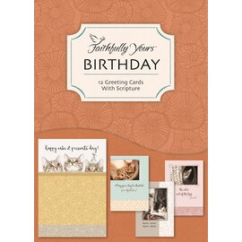 Boxed Cards - Birthday, Curious Kittens