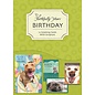 Boxed Cards - Birthday, Furry Friends
