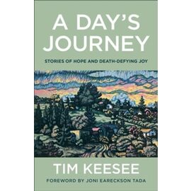 A Day's Journey: Stories of Hope and Death-Defying Joy (Tim Keesee), Paperback