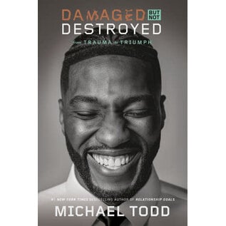 Damaged But Not Destroyed (Michael Todd), Hardcover