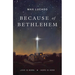 Good News Bulk Tracts: Because of Bethlehem