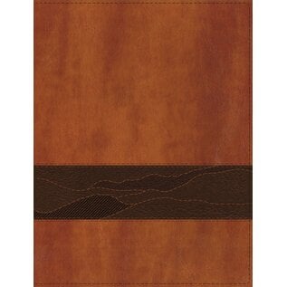 NIV Bible for Men: Rooted, Brown Leathersoft