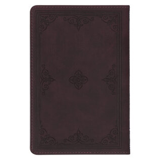 Classic Prayers to Inspire Your Soul (Terry Glaspey), Brown Faux Leather