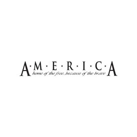 BorderBytes Wall Sticker - America, Home of the Free...Because of the Brave