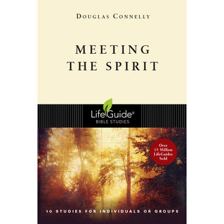 LifeGuide Bible Study: Meeting the Spirit