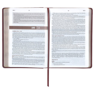 NLT Everyday Devotional Bible for Men, Saddle Tan Faux Leather