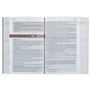 NLT Everyday Devotional Bible for Men, Blue Mountain Flexcover