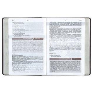 NLT Everyday Devotional Bible for Men, Cross Walnut Brown Faux Leather
