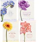 Boxed Cards - Sympathy, Journey of the Heart (NIV)