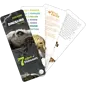 7 Ages of Dinosaurs, Swivel Book