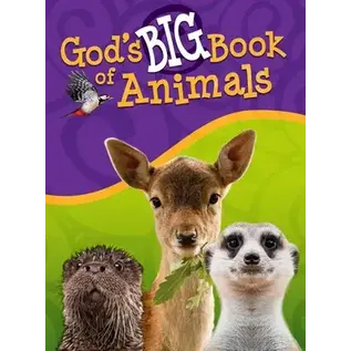 God's Big Book of Animals, Hardcover