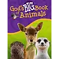 God's Big Book of Animals, Hardcover
