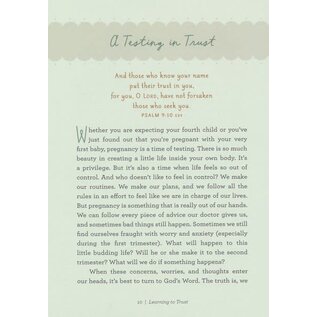 Miracle In The Making: The Devotional For Expectant Moms, Hardcover