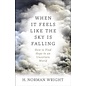 When it Feels Like the Sky is Falling: How to Find Hope in an Uncertain World (H. Norman Wright), Paperback