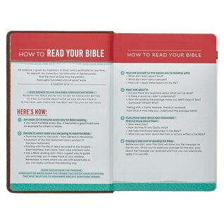 KJV Kid's Bible, Lion Brown Faux Leather