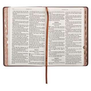 KJV Kid's Bible, Lion Brown Faux Leather