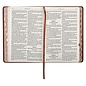 KJV Kid's Bible, Lion Brown Faux Leather