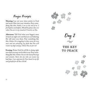 The 30-Day Stress Detox Devotional: A Faith-Building Prayer Plan for Women (Carey Scott), Hardback