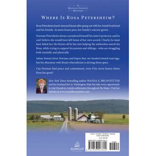 A Mifflin County Mystery #1: The Protector (Wanda E. Brunstetter), Paperback