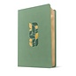 NLT One Year Chronological Study Bible, Sage Green Mosaic LeatherLike