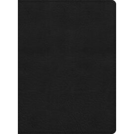 KJV Large Print Study Bible, Black LeatherTouch