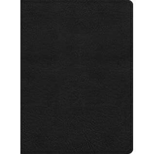 KJV Large Print Study Bible, Black LeatherTouch