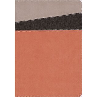 NIV Application Bible, Coral/Gray Leathersoft, Indexed
