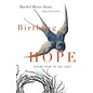 Birthing Hope: Giving Fear to the Light (Rachel Marie Stone), Paperback