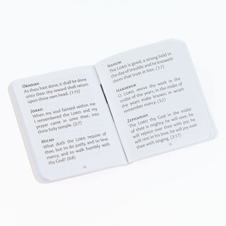 My Little Bible, Assorted Colors