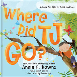 Where Did TJ Go?:  A Book for Kids on Grief and Loss (Annie F. Downs), Hardcover