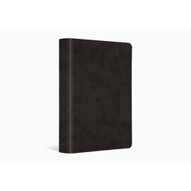 ESV Large Print Value Compact Bible, Black TruTone