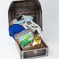 Brave Books: Saga Two Treasure Box of 10 Books