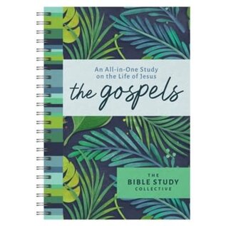 The Gospels: An All-in-One Study on the Life of Jesus