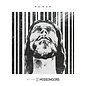CD - Power (We Are Messengers)