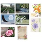 Boxed Cards - Sympathy, Assorted (Box of 24)