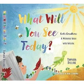 What Will You See Today?: God's Creation: A Morning Walk with Willow (Tamara Dillibe), Board Book