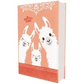 NIrV Adventure Bible for Early Readers, Coral Leathersoft