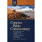 Concise Bible Commentary-Holman, CSB