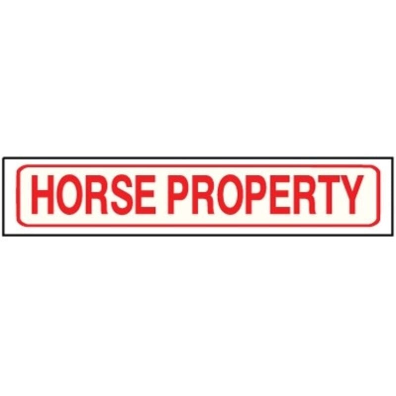 Horse Property Rider 6 x 24