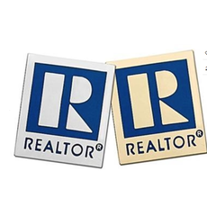Magnetic Pin-Realtor® Lg Gold /Silver