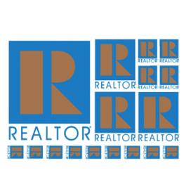 R® Logo Sticker Sheet