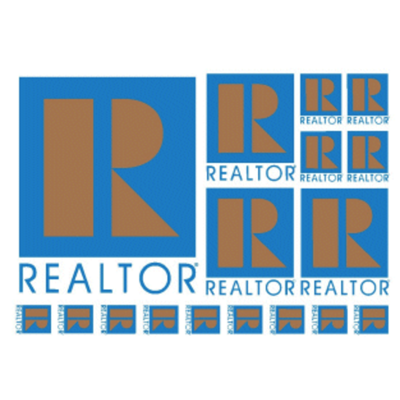 R® Logo Sticker Sheet