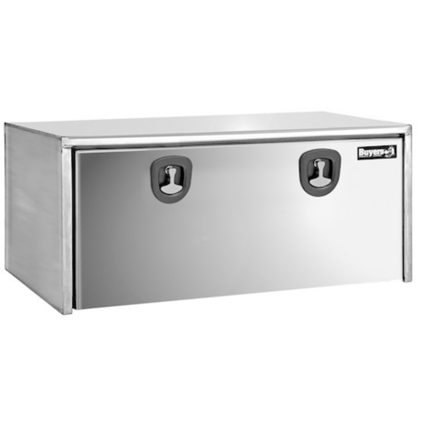 Buyers Products Company Stainless Steel Underbody Truck Box with Polished Stainless Steel Door Series