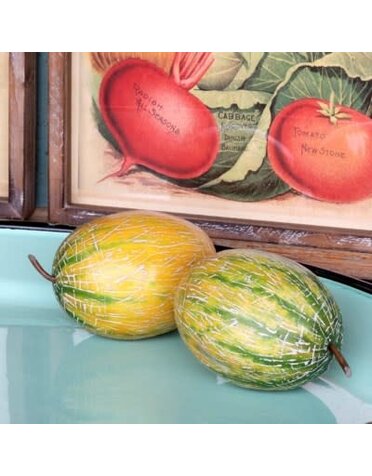 FRENCH MELON