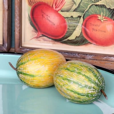 FRENCH MELON