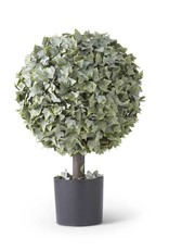 25" Powdered English Ivy Single Ball Topiary
