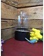 10" Clear Glass Vase w/ Black Bottom and Tapered Neck